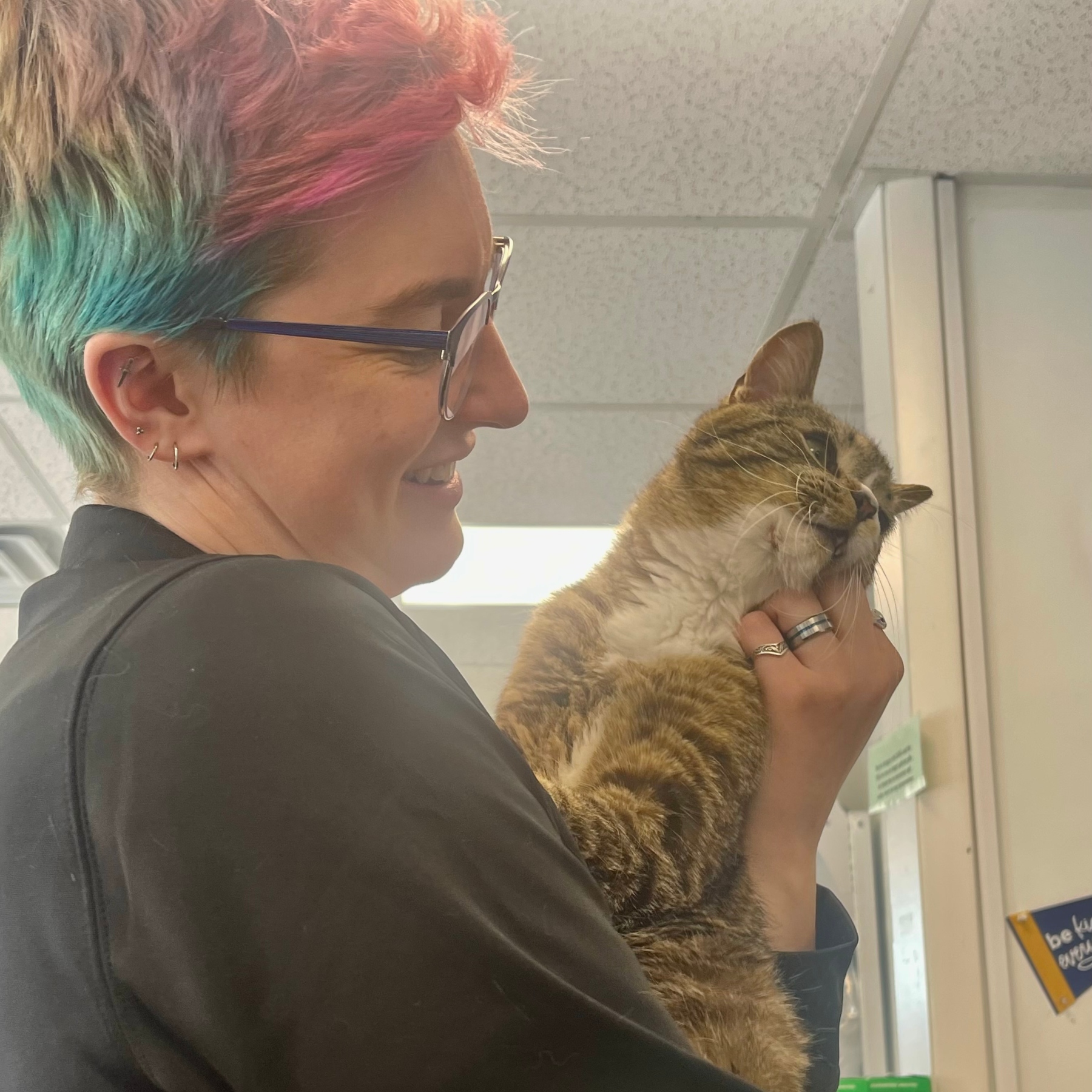 vet tech with cat
